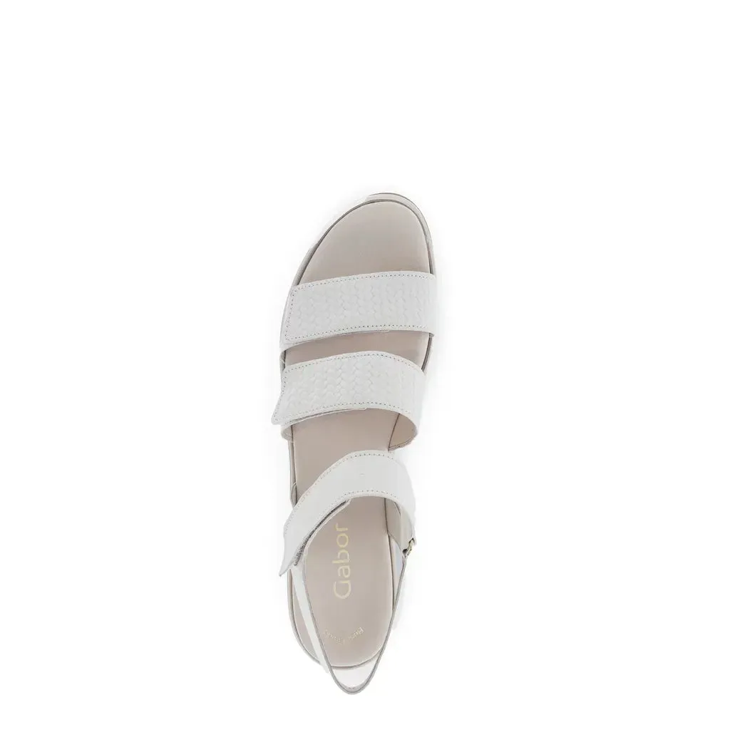 64.620.22 - Beige Leather