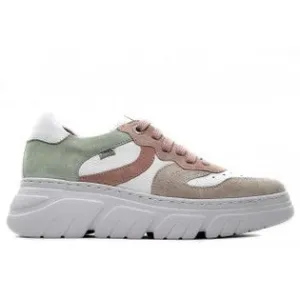 CallagHan 51809 Multi