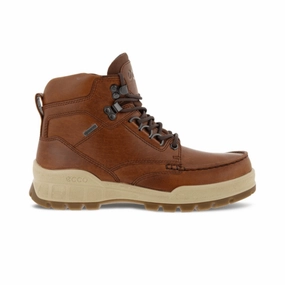 Ecco Women's Track 25 High Boot - Rust