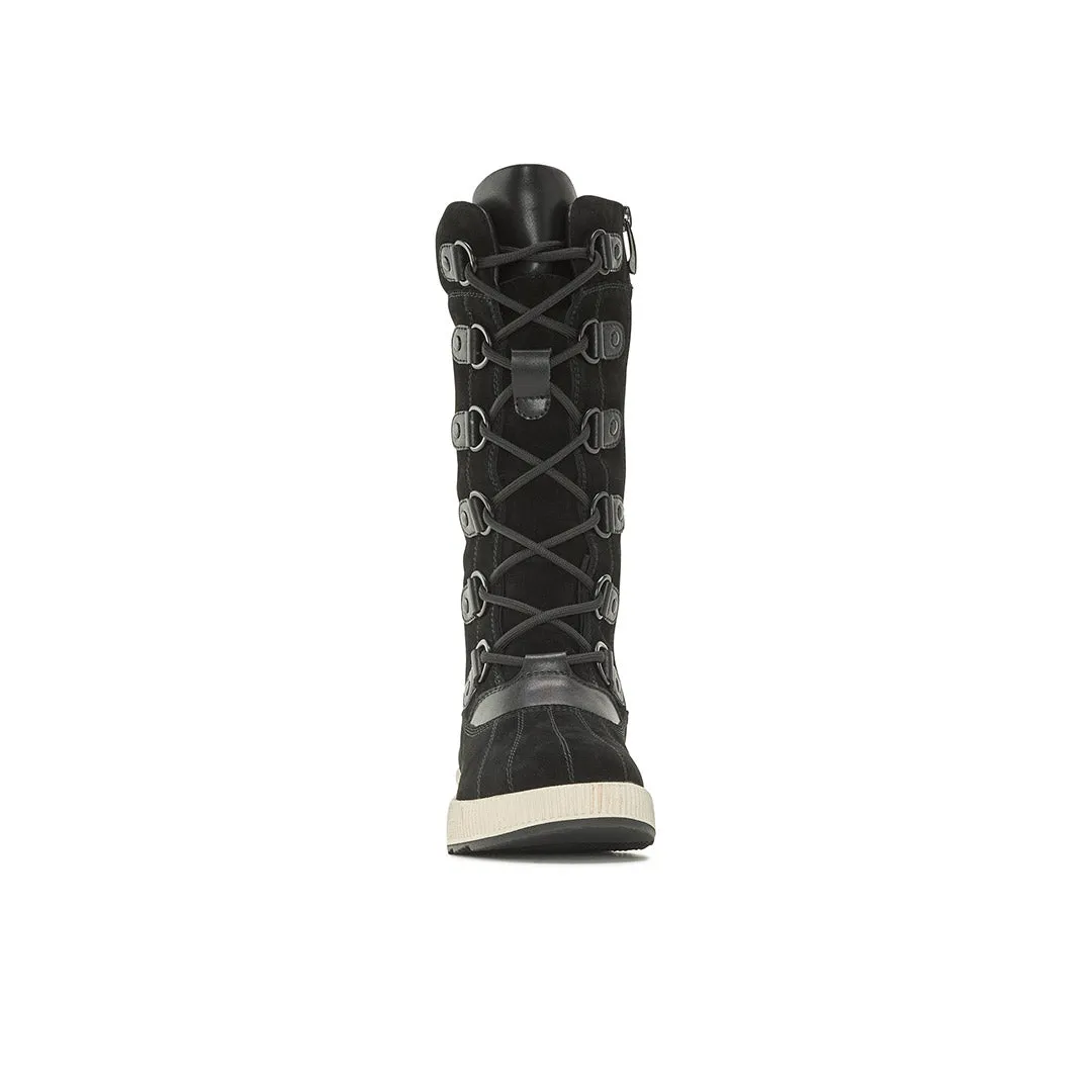 Hivernal Tall