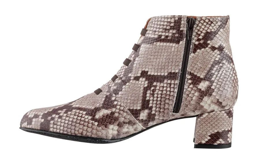 P&J Python