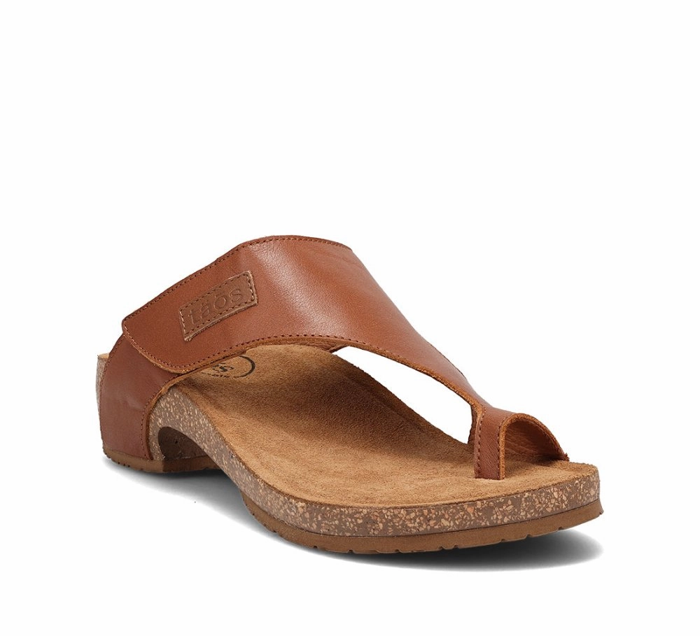 Taos Women's Loop - Brandy