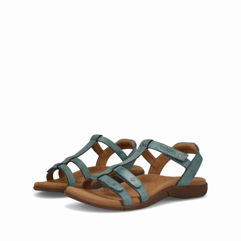 Taos Women's Trophy 2 - Teal