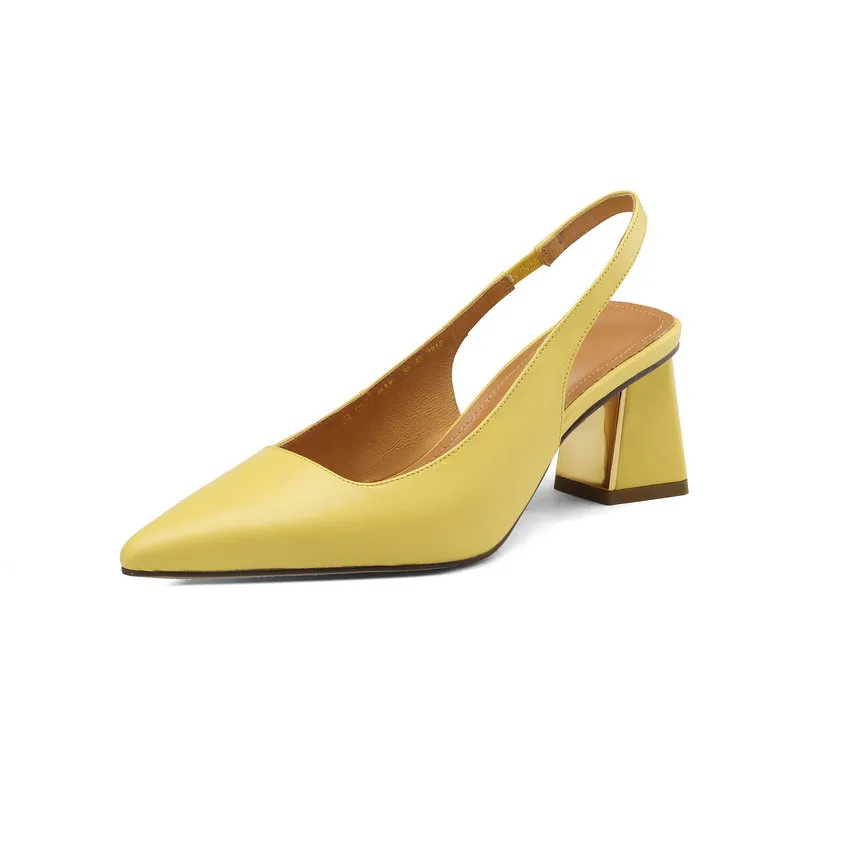 USS Shoes Lucia Women's Pointed Toe Pump
