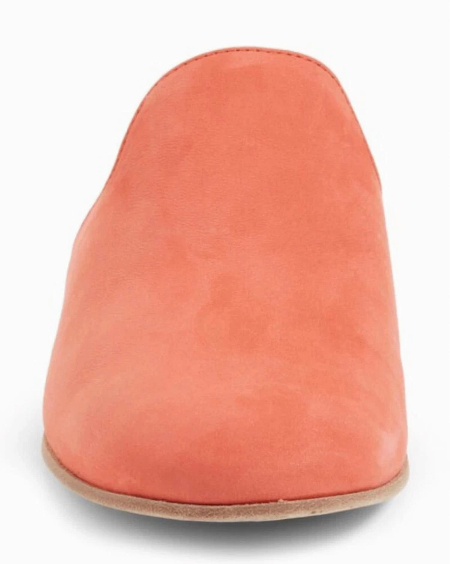 Women's Dion Suede Mule Shoes In Persimmon